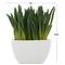 8" Green Foliage Artificial Plant with White Ceramic Pot
